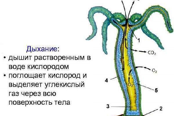 Кракен даркнет стор