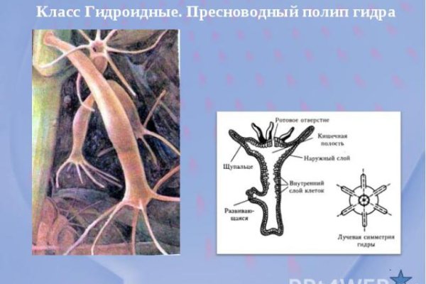 Кракен купить мефедрон