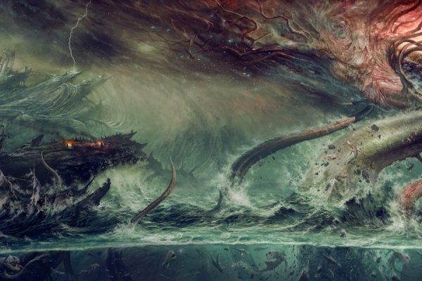 Kraken kraken link24 info